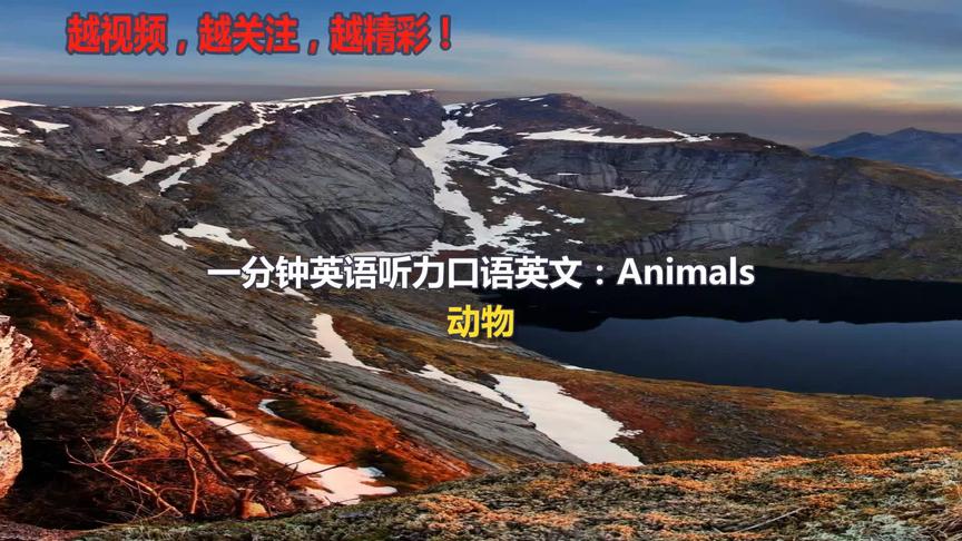 [图]一分钟英语听力口语英文Animals动物中小学英文作文听力练习