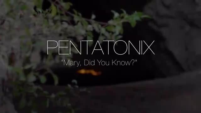 [图]PTXMary《Did You Know》，那些年我们的过去，至今难忘却