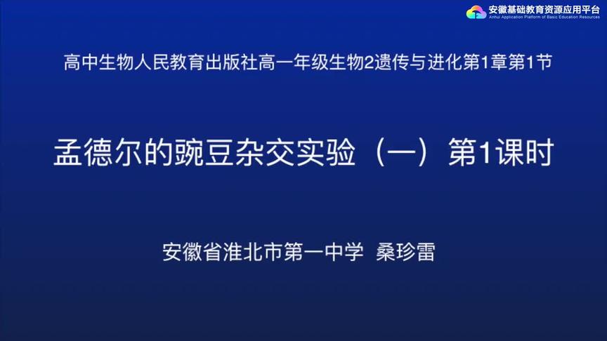 [图]人教版高一生物——孟德尔的豌豆杂交实验（一）（第1课时）