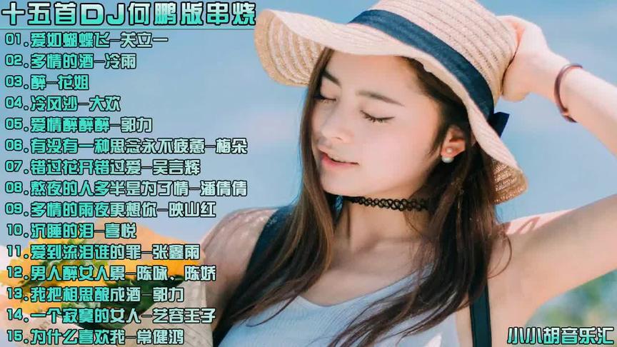 [图]15首DJ何鹏版串烧嗨曲《爱如蝴蝶飞+多情的酒+爱情醉醉醉〉好听！