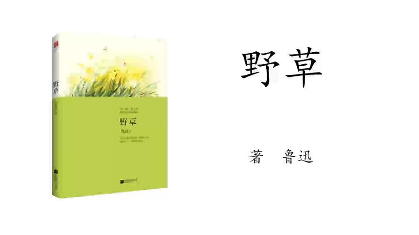 [图]27.鲁迅《野草》 杂文新编·灯下漫笔