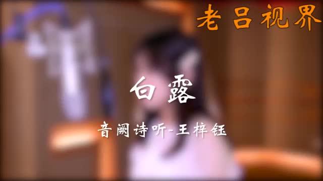 [图]《白露》音阙诗听（录音棚版）二十四节气系列歌曲