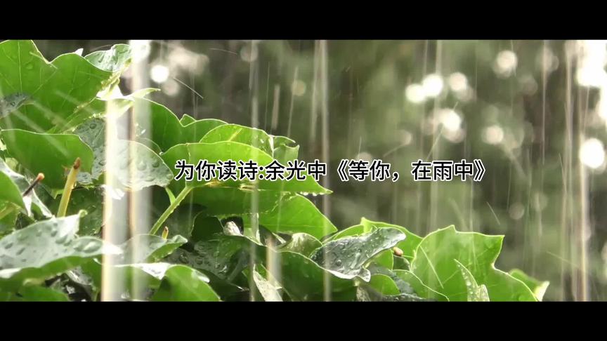 [图]为你读诗：散文诗欣赏余光中《等你，在雨中》细雨的黄昏中等待