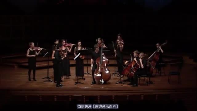 [图]如果以为低音提琴只能当陪衬，听听博泰希尼第二号低音提琴协奏曲