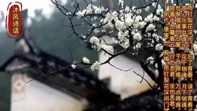 [图]一剪梅.雨打梨花深闭门（明）唐寅