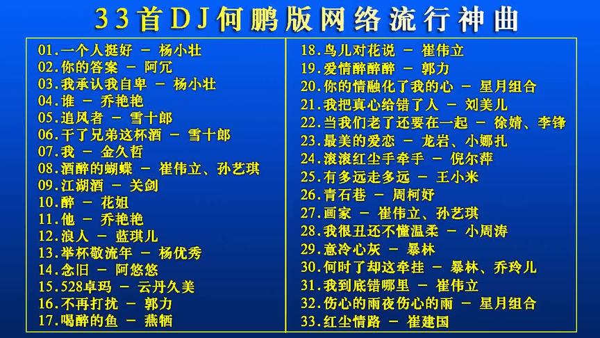 [图]33首DJ何鹏版网络神曲串烧《一个人挺好+酒醉的蝴蝶+鸟儿对花说》