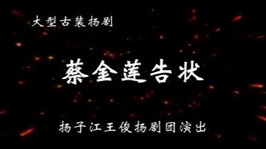 [图]扬剧《蔡金莲告状》（上） 张寿青， 陶艺， 周露秋主演