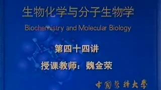 [图]第44讲 蛋白质的生物合成（翻译）（1）