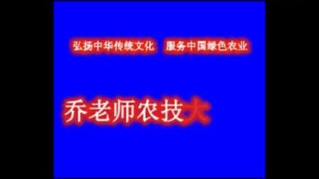 [图]乔老师绿色蔬菜农技大讲堂一（共三集）