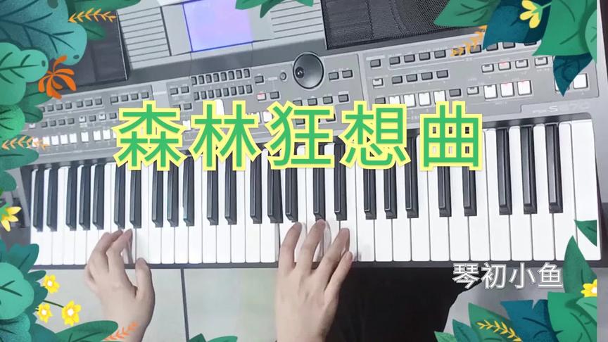 [图]电子琴版《森林狂想曲》，美妙的旋律蕴含对大自然的热爱