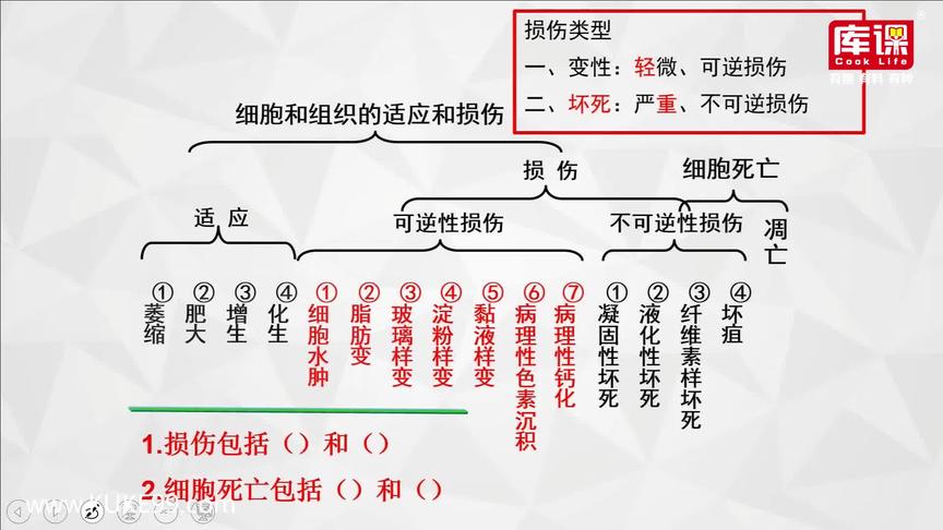 [图]2020专升本-河南-病理学-冲刺-第02章 细胞和组织的损伤与修复02