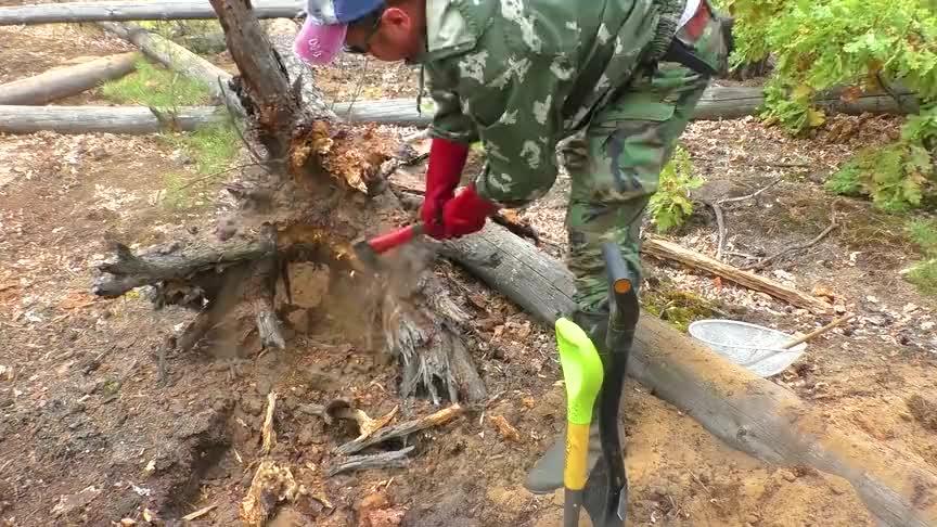 [图]老外树下发现“神秘”宝藏，件件价值连城，直接一夜暴富！