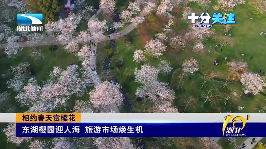 [图]花正美！“相约春天赏樱花”开启东湖人海赏花模式