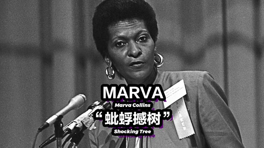 [图]Marva Collins-一己之力撕开黑人教育的裂缝