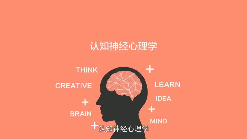 [图]认知神经科学 #认知心理学 #涨知识 #神经科学 #决策逻辑