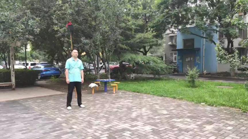 [图]宋门三皇炮捶二趟拳