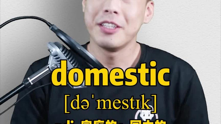 [图]语 词 E279：domestic “家庭的、国内的”