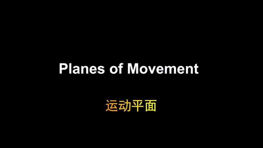 [图]运动解剖学基础之运动平面#运动解剖 #健身 #解剖学 #健身教练