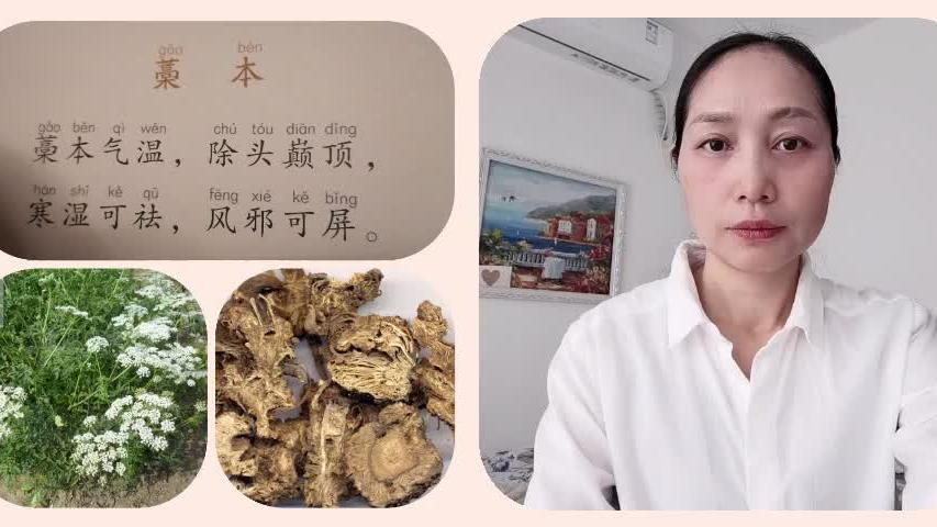 [图]#中医药 大家好！202101.26背诵药性歌括400味(上)第37味：