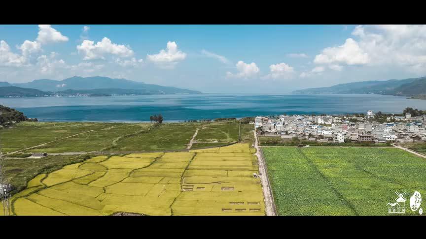 [图]一粒米的成长记#跟着大王寻好食 #抚仙谷 ，你也成长了