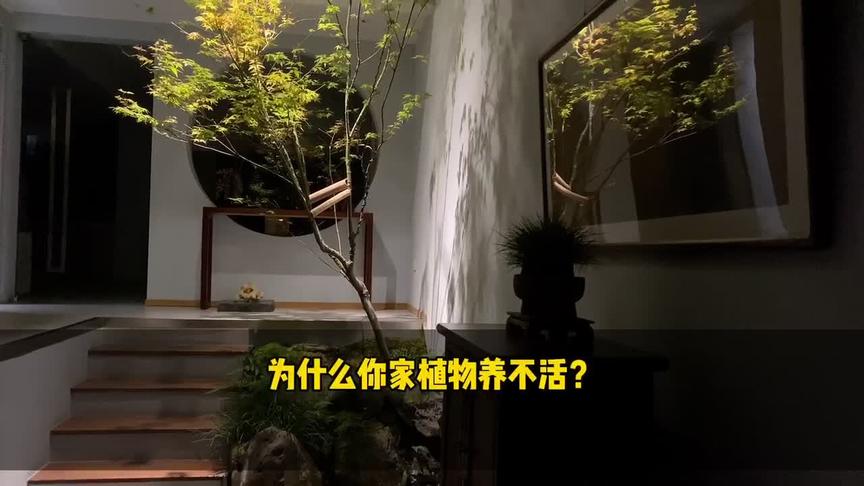 [图]为什么你家植物养不活？#庭院 #园林 #造景