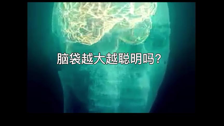 [图]脑袋越大越聪明吗？#科普 #少年百科 #少年百科知识报