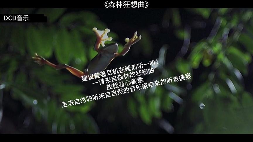 [图]只要听一遍就喜欢上的曲《森林狂想曲》建议戴着耳机听身体很放松