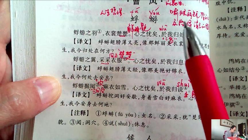 [图]小李上学，诗经，蜉蝣，心之忧矣，於我归处