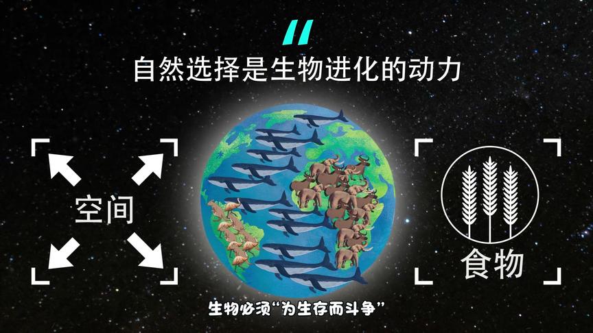 [图]看完这个动画，你就能明白为何生物进化的基本单位是“种群”了！