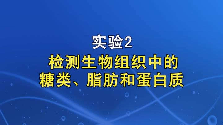 [图]实验2检测生物组织中的糖类、脂肪和蛋白质