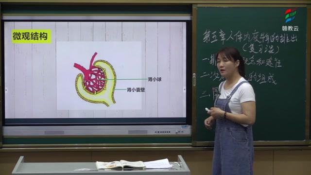 [图]初一生物(人教版)《 人体内废物的排出(复习）》