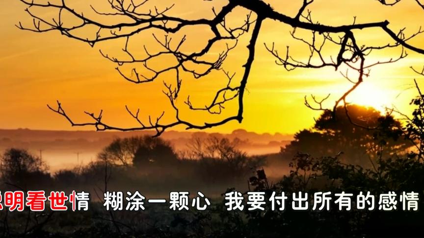 [图]陈淑桦 - 聪明糊涂心