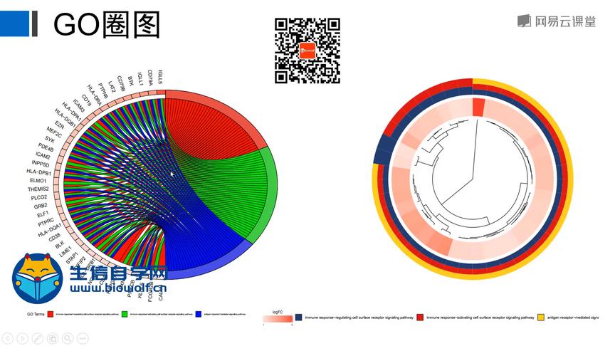 [图]单细胞测序数据挖掘简介