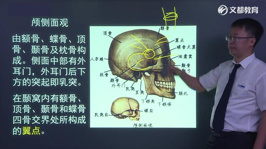 [图]【放射技师-基础知识03】放射技师-人体解剖与生理、物理与摄影