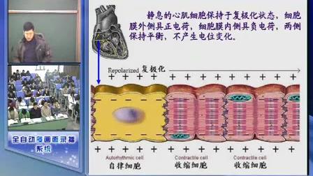 [图]32《诊断学》临床心电图1