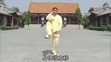 [图]朱天才陈氏五行太极拳教学