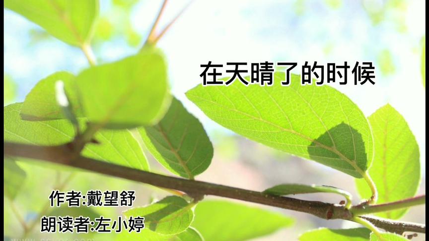 [图]诗歌朗读 戴望舒《在天晴了的时候》/淡然宁静的小径，令人向往