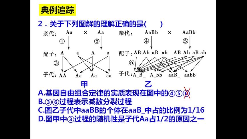 [图]高三生物《孟德尔的豌豆杂交实验》