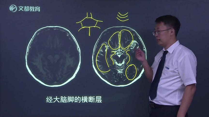 [图]【放射技师-相关知识01】放射技师-人体影像解剖CTMR影像诊断基础