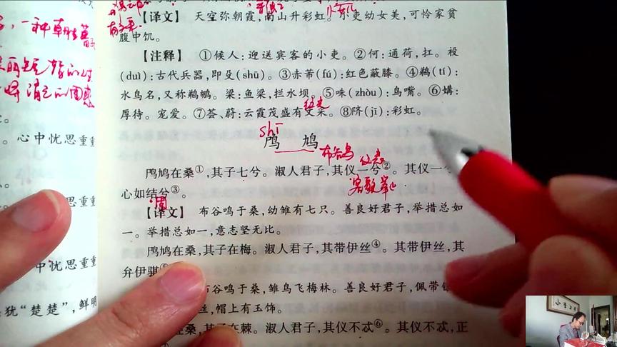 [图]小李上学，诗经，鳲鸠，正是国人，胡不万年