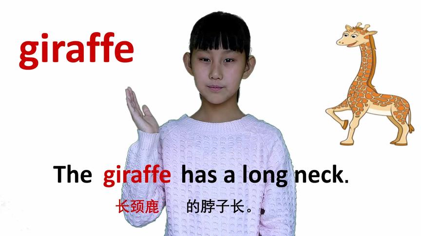 [图]动物篇giraffe长颈鹿 牛津初高中小学少儿童英语单词和例句子常荣