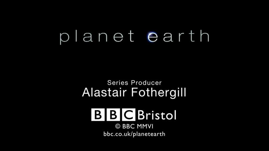 [图]BBC地球脉动(Planet Earth) - 纪录片 第09集：富饶丛林