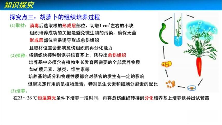 [图]2.1植物组织培养技术