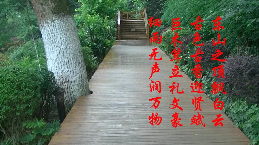 [图]东山景区巨木耸立，古色古香，东山之顶白云意