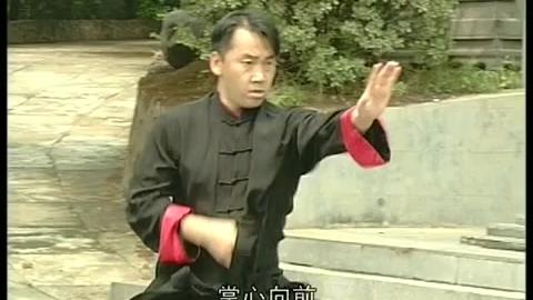 [图]中华武藏形意拳