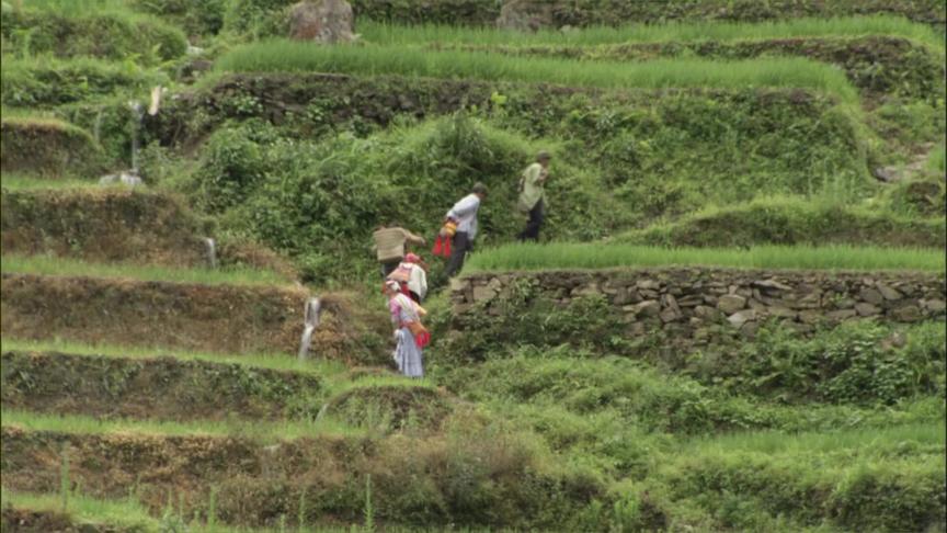 [图]《美丽中国》 第二集 中国野生动植物和自然人文景观大型纪录片