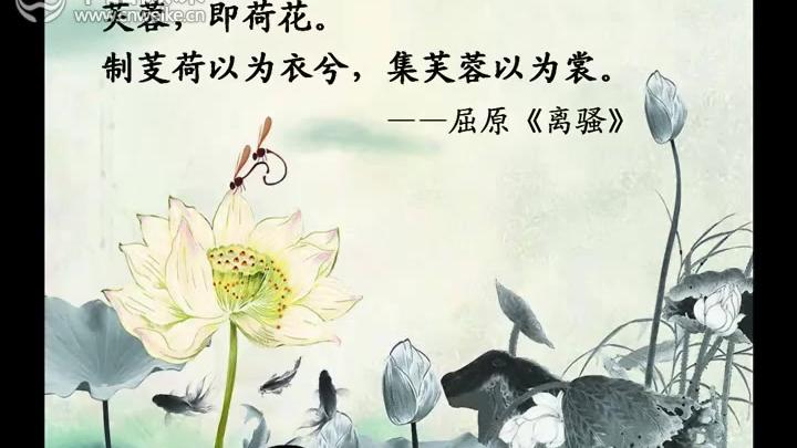 [图]【语文微课】分析《涉江采芙蓉》的抒情手法（李慧颖）