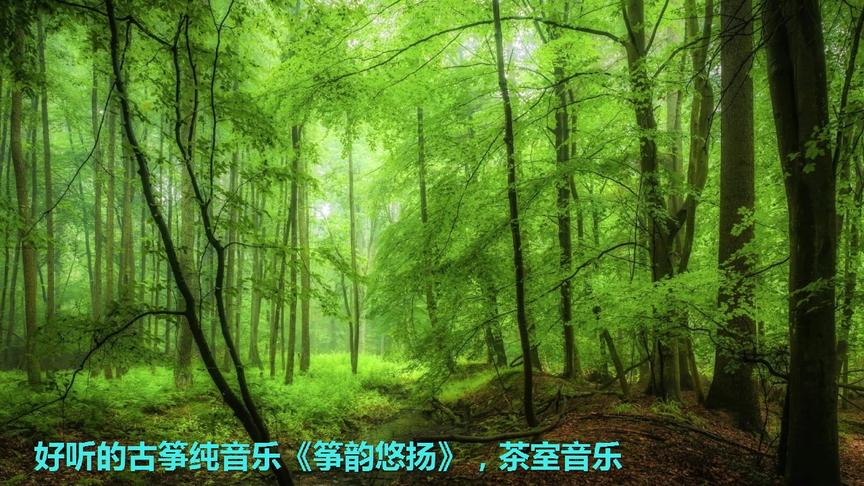 [图]好听的古筝纯音乐《筝韵悠扬》，茶室音乐