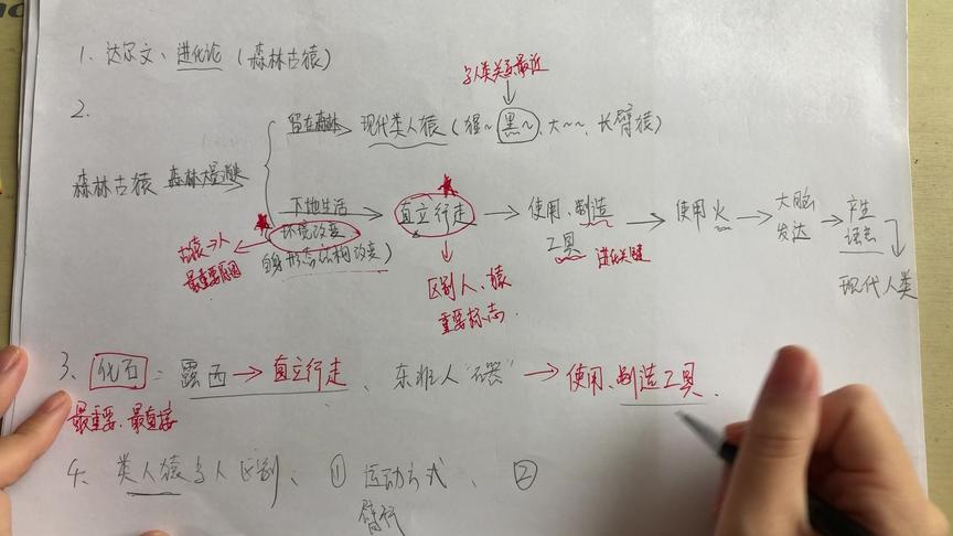 [图]人类的起源和发展