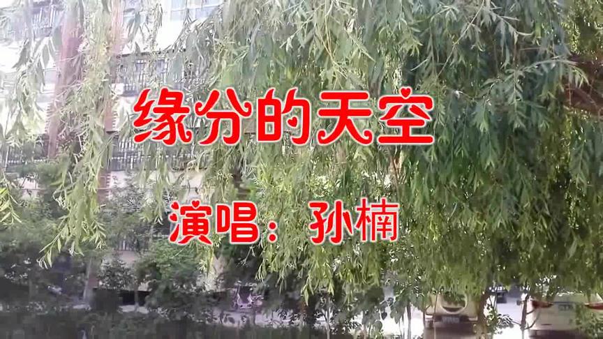 [图]《缘分的天空》青春的岁月一切那么美好，缤纷的时节满是梦的色彩